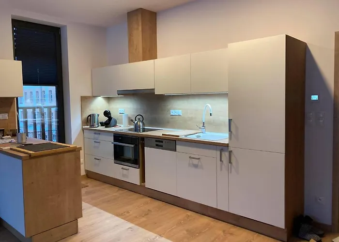 Apartman T5 Herlikovice